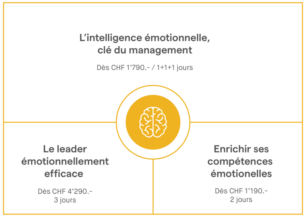 intelligence émotionnelle